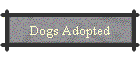 Dogs Adopted