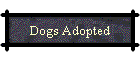 Dogs Adopted